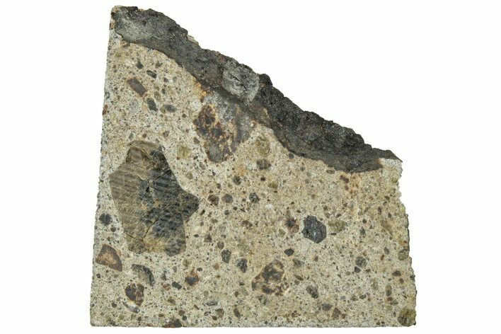 Diogenite Meteorite ( g) Slice - From Vesta Micro-Planet! #313321